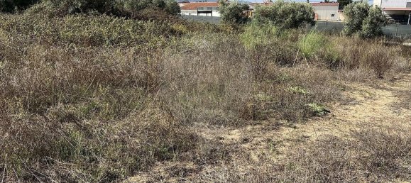 10500m² Land in Palmela, Portugal No. 155578 18