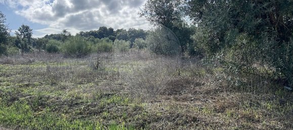 10500m² Land in Palmela, Portugal No. 155578 4
