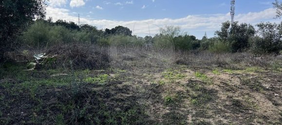 10500m² Land in Palmela, Portugal No. 155578 12