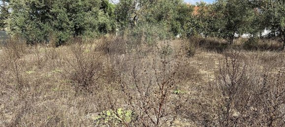 10500m² Land in Palmela, Portugal No. 155578 6