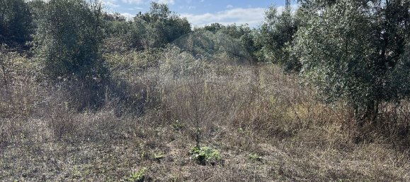 10500m² Land in Palmela, Portugal No. 155578 21