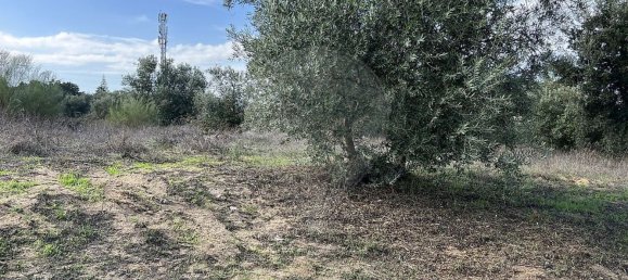 10500m² Land in Palmela, Portugal No. 155578 19