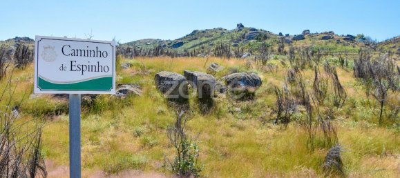 14150m² Land in Amarante, Portugal No. 15527 6