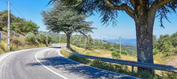 14150m² Land in Amarante, Portugal No. 15527 11