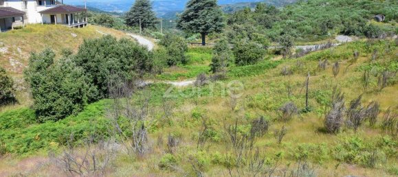 14150m² Land in Amarante, Portugal No. 15527 5