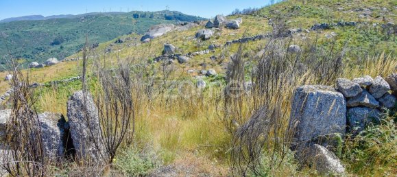 14150m² Land in Amarante, Portugal No. 15527 44