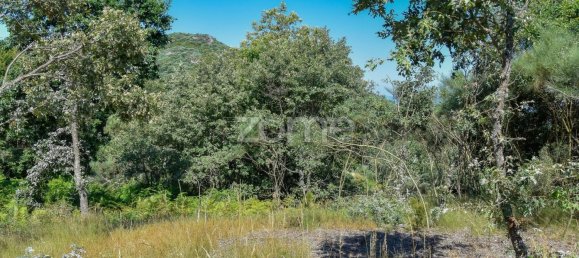 14150m² Land in Amarante, Portugal No. 15527 31