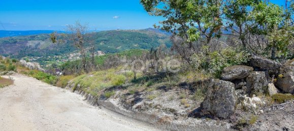 14150m² Land in Amarante, Portugal No. 15527 42