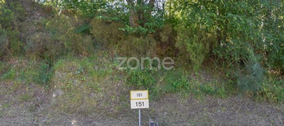 14150m² Land in Amarante, Portugal No. 15527 34