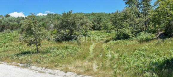 14150m² Land in Amarante, Portugal No. 15527 20