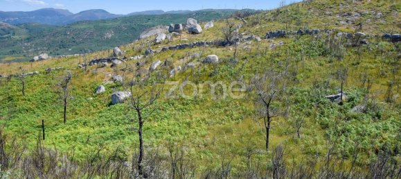 14150m² Land in Amarante, Portugal No. 15527 45