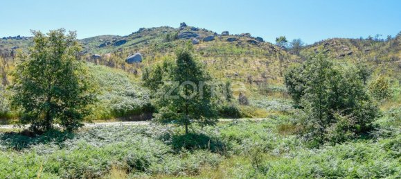 14150m² Land in Amarante, Portugal No. 15527 8
