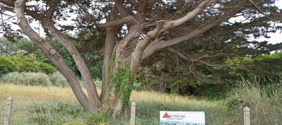 495m² Land in Bernieres-sur-Mer, France No. 357260 3