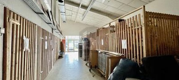 Коммерческая недвижимость с 4 комнатами в Фрайбург им Брайсгау, Германия № 316716 4