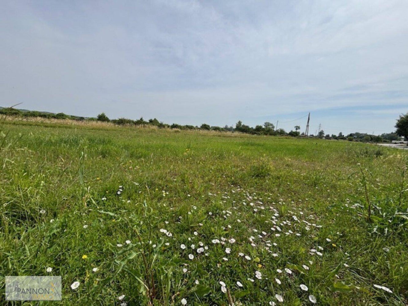 Grundstück in Purbach am Neusiedler See, Austria 919m², Nr. 149107