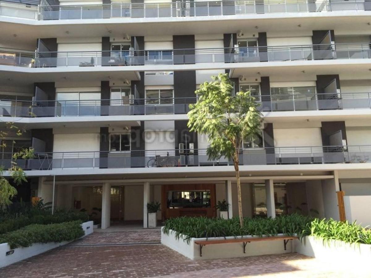 Studio in Tigre, Argentina No. 3788