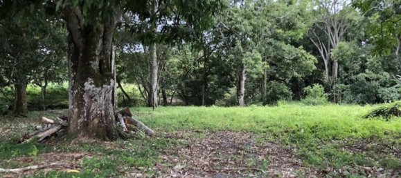  قطعة أرض في Orotina, Costa Rica رقم 1757 3