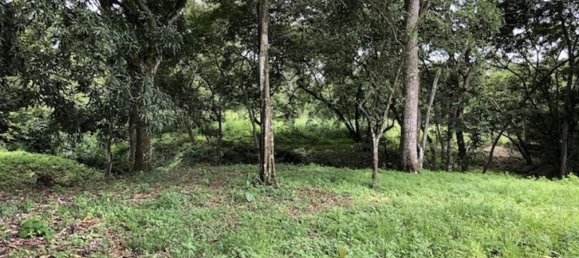  قطعة أرض في Orotina, Costa Rica رقم 1757 6