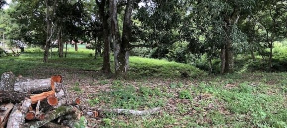  قطعة أرض في Orotina, Costa Rica رقم 1757 5