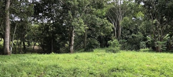  قطعة أرض في Orotina, Costa Rica رقم 1757 4