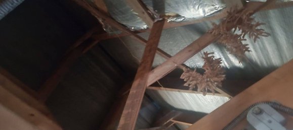 3 غرف نوم منزل في Friesland, Germany رقم 225009 18