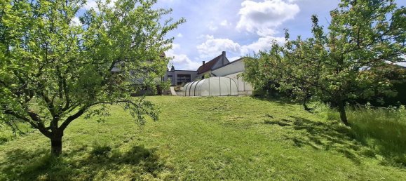 6-Zimmer Haus in Hornstein, Austria, Nr. 177801 41