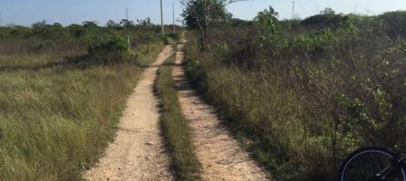  Land in Merida, Mexico No. 121358 2