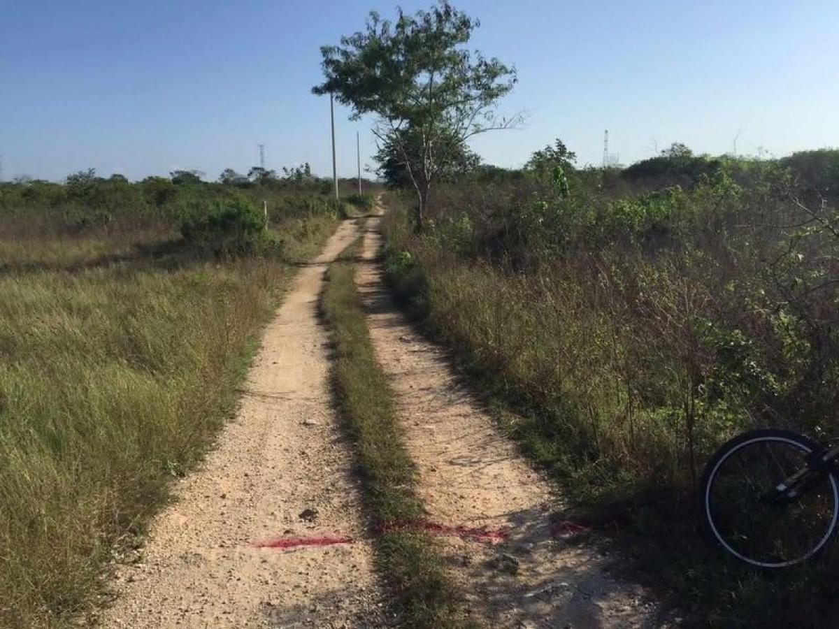  Land in Merida, Mexico No. 121358