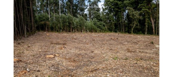 5535m² Land in Vila Nova de Gaia, Portugal No. 123080 24