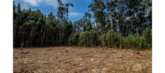 5535m² Land in Vila Nova de Gaia, Portugal No. 123080 21