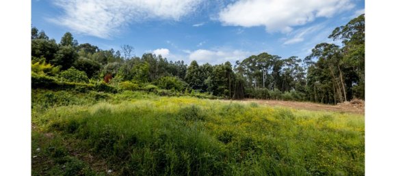 5535m² Land in Vila Nova de Gaia, Portugal No. 123080 2