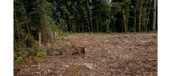 5535m² Land in Vila Nova de Gaia, Portugal No. 123080 25