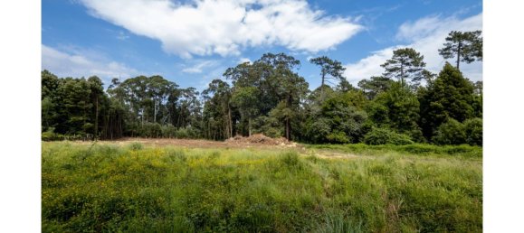 5535m² Land in Vila Nova de Gaia, Portugal No. 123080 4