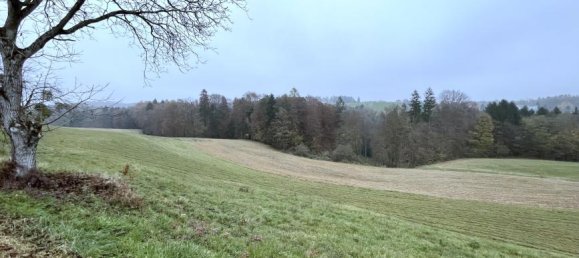 Terreno em Kirchbach-Zerlach, Austria 25755 m² N.º 220382 6