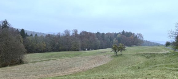 Terreno em Kirchbach-Zerlach, Austria 25755 m² N.º 220382 2