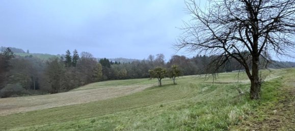 Terreno em Kirchbach-Zerlach, Austria 25755 m² N.º 220382 4