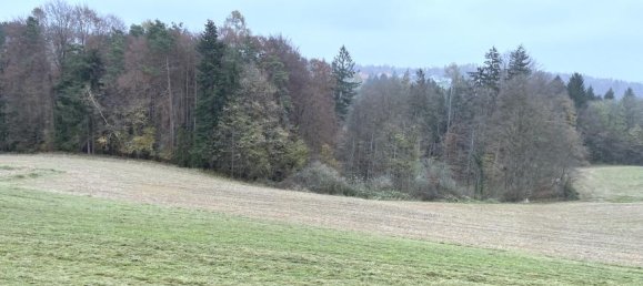 Terreno em Kirchbach-Zerlach, Austria 25755 m² N.º 220382 3