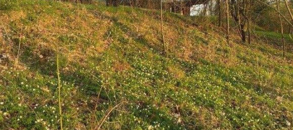  Land in Bavaria, Germany No. 367340 3