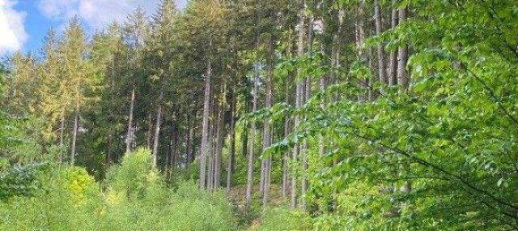  Land in Bavaria, Germany No. 367340 9