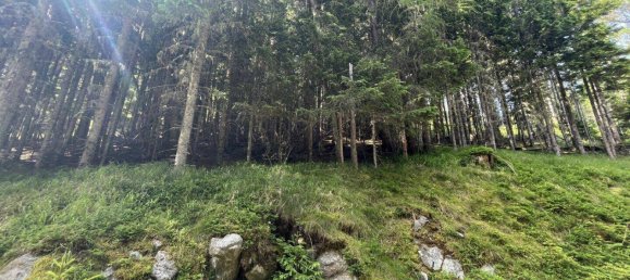 Terreno en Tamsweg, Austria No. 159666 15