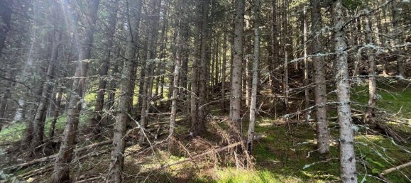 Terreno en Tamsweg, Austria No. 159666 13