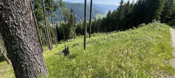 Terreno en Tamsweg, Austria No. 159666 14