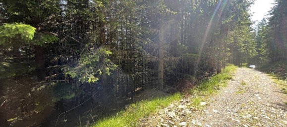 Terreno en Tamsweg, Austria No. 159666 12