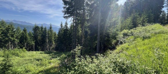 Terreno en Tamsweg, Austria No. 159666 6