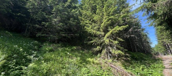 Terreno en Tamsweg, Austria No. 159666 9