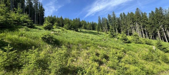 Terreno en Tamsweg, Austria No. 159666 3