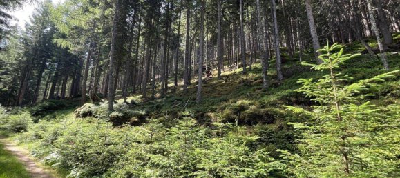 Terreno en Tamsweg, Austria No. 159666 17