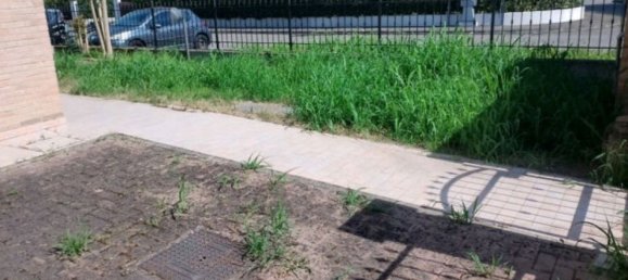 7 bedrooms Duplex in Cadelbosco di Sopra, Italy No. 325245 5