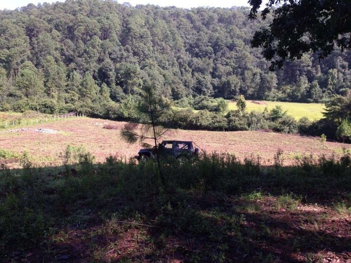  قطعة أرض في Heroica Matamoros, Mexico رقم 206517