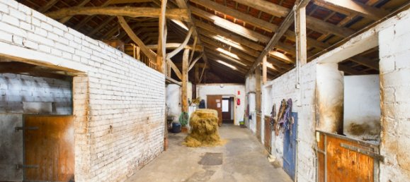 25 bedrooms Farm in Emsland, Germany No. 308342 11